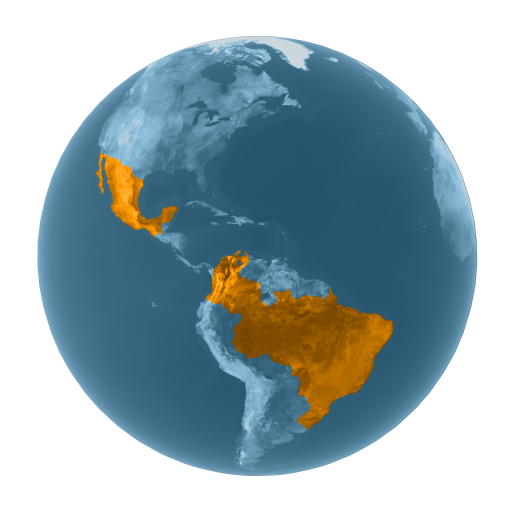Market Analytics: Mapa de Cobertura del Mercado